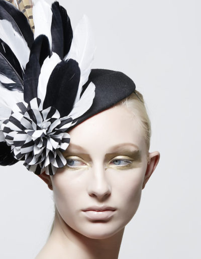 SeventhandFig2017008