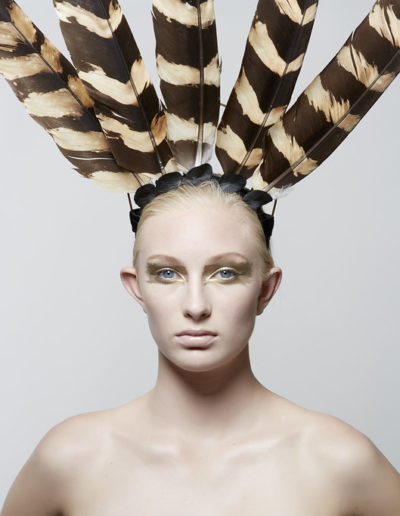 SeventhandFig2017020