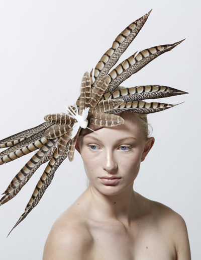 SeventhandFig2017022