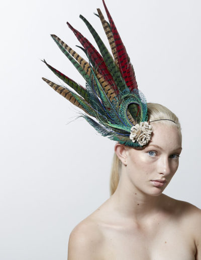 SeventhandFig2017029