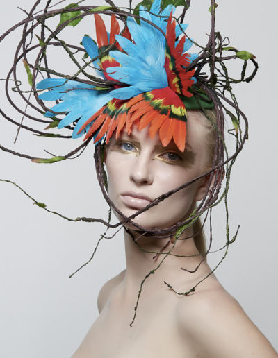 av-SeventhandFig2017016