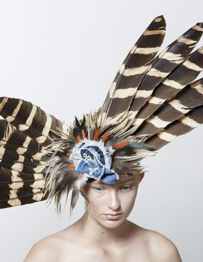 av-SeventhandFig2017039