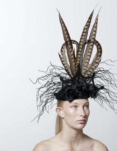 av-SeventhandFig2017041