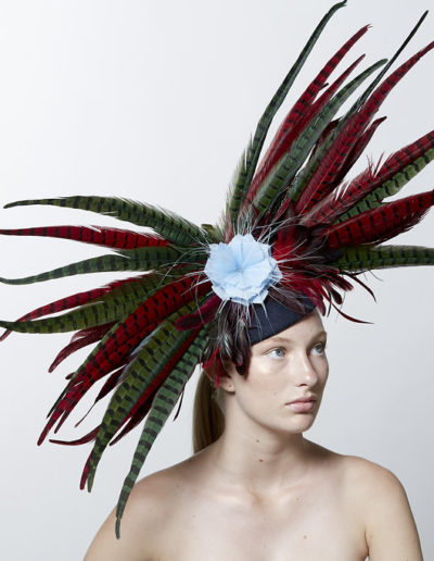 av-SeventhandFig2017043