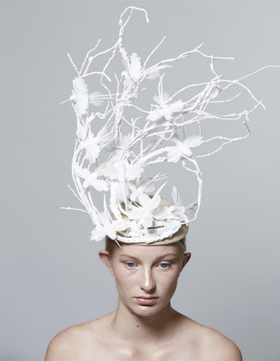 av-SeventhandFig2017054-1