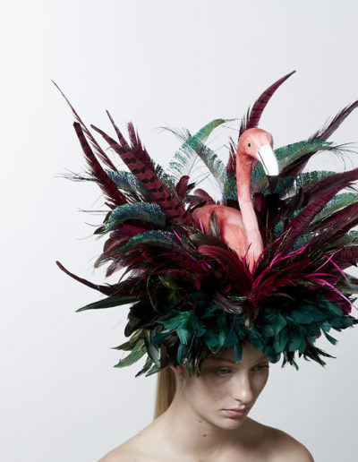 av-SeventhandFig2017065