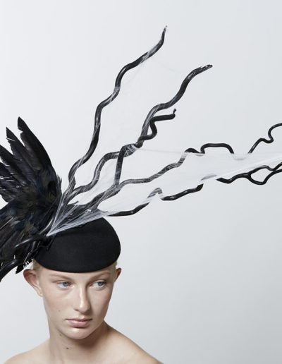 av-SeventhandFig2017074